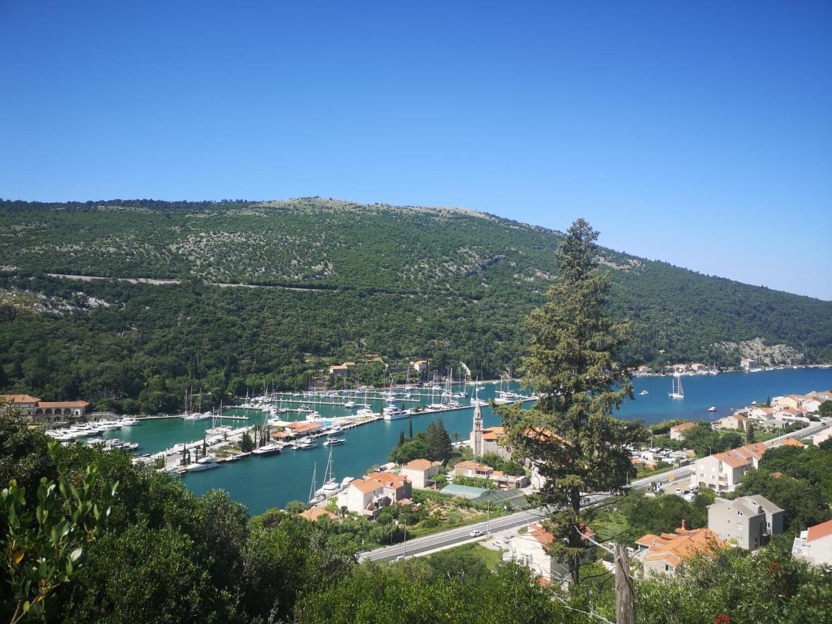 Apartment House Of Artichoke With Amazing Sea View, Dubrovnik Mokošica Exteriör bild